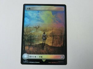 MTG 美品 【フルアートの平地（317）（FOIL）】 （コモン） Fallout PIP 日 4枚迄