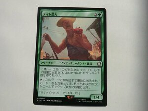 MTG 美品 【テイト農夫】 （レア） Fallout PIP 日 9枚迄