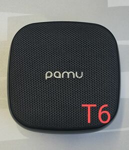 pamu T6 ワイヤレスイヤホン 訳あり品