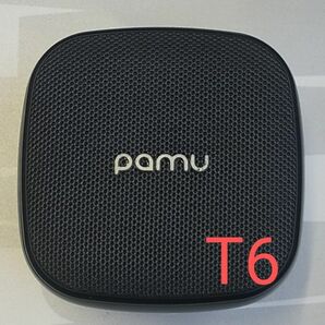 pamu T6 ワイヤレスイヤホン 訳あり品