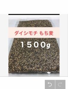 岐阜県産 １５００g ダイシモチ もち麦 健康志向の方 ダイエット に