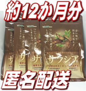 クーポンで200円off　シードコムス サラシア サプリメント ダイエットサプリ約12ヶ月分　最新2026.05 