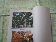 D3　『中国・四国　巨樹・名木巡り』　牧野和春／編著　牧野出版発行_画像2