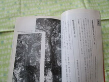 D3　『九州・沖縄　巨樹・名木巡り』　牧野和春／著編　牧野出版発行_画像6