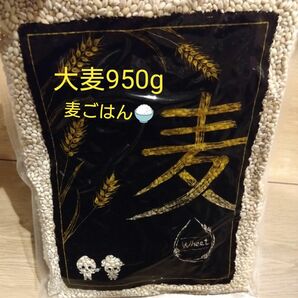 国内産 大麦 950g