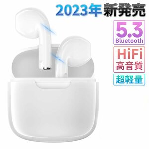 ワイヤレスイヤホン Bluetooth5.3 自動接続 HiFi 高音質 超軽量 省工ネ iPhone Android対応 イヤホン CSV8.0 防水