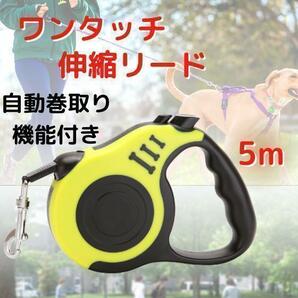 伸縮リード 犬用 イエロー 自動巻き取り ロック付き 5ｍ 散歩用 ペット用品の画像1