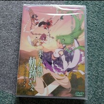 東方 LIVE DVD ミュージックビデオ 4作品_画像6