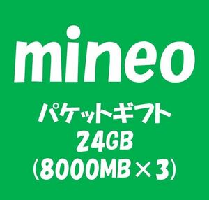 mineo_マイネオ パケットギフト約24GB (8000MB×3)_20GB以上30GB未満_mr31