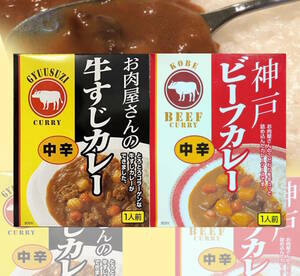 お試し　お肉屋さんの牛すじカレー ・ ビーフカレー 中辛×計２点　とろとろコラーゲン　GYUUSUZI CURRY