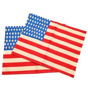LDL442# ランチョンマット アメリカ国旗 星条旗 ペア 2枚セット