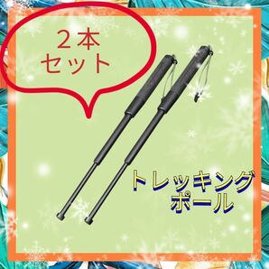 トレッキングポール　トレッキング　折りたたみ　登山　コンパクト　登山ストック　杖　2本　アウトドア　ブラック　黒　ストック