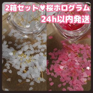 桜 サクラ 桜ホログラム ネイルパーツ ジェルネイル 2箱