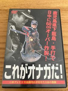 【値下げ】オナガグレ　鹿児島県下甑島・手打で日中に６０㎝　　　オーバー炸裂！Ｇ杯Ｖ５　片伯部光広
