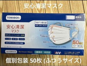 3層構造 不織布　安心清潔マスク個別包装 50枚 (ふつうサイズ) 不織布 3層構造 カットフィルター 個包装