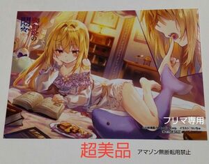 超美品 『ひきこまりの吸血姫の悶々』 ゲーマーズ 限定 特典 ブロマイド 希少