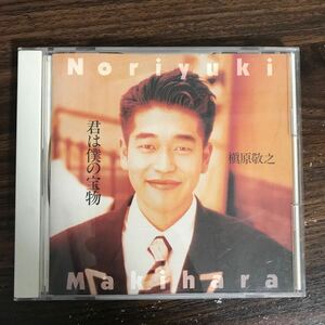 (492)中古CD100円 槇原敬之　君は僕の宝物