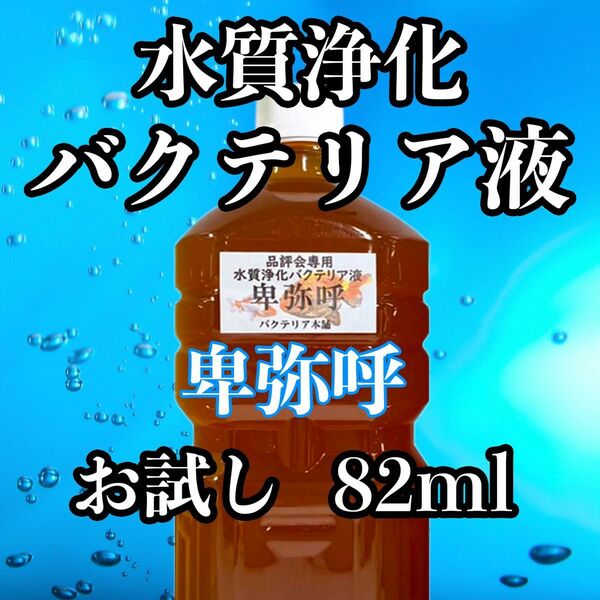 高品質水質浄化バクテリア　お試し１種　卑弥呼　82ml