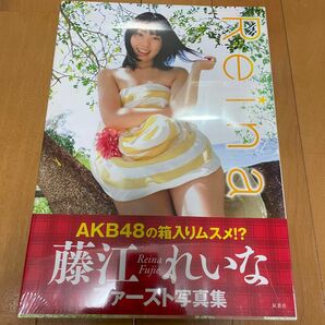 新品 帯付 Reina : 藤江れいなファースト写真集 AKB48