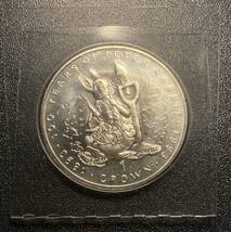 1993カナダウサギコイン　材質不明　硬貨　古銭　美品　レア_画像3