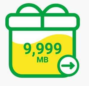 60GB（9999MB×6） マイネオ パケットギフト mineo 