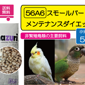 【期間限定SALE大特価】インコ用飼料 マズリ 56A6 スモールバード メンテナンス ダイエット 5ｋｇ