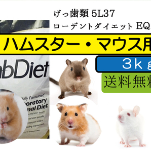 【大特価セール中】3ｋｇ【ハムスター、マウス用 エサ】ローデントダイエット ＥＱ　 5L37 Lab Diet
