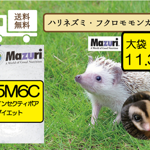 【期間限定SALE大特価】★送料無料・最安値に挑戦【マズリ】食虫動物用5Ｍ6Ｃ インセクティボア ダイエット11.3ｋｇ