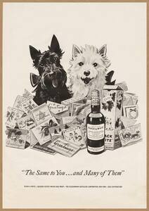 BLACK & WHITE テリア レトロミニポスター B5サイズ 複製広告 ◆ ブラックアンドホワイト 洋酒 ウィスキー カード 犬 USAD5-168