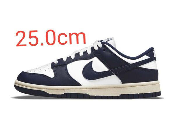 Nike WMNS Dunk Vintage Navy ナイキ ダンク ヴィンテージ ネイビー 25cm DD1503-115