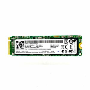 Union Memory SSS0L25069 256GB M.2 SSD NVMe 2280