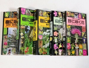 匿名配送 山渓ハンディ図鑑第1,2,3,4,5巻5冊セット 野に咲く花,山に咲く花,樹に咲く花(離弁花①②合弁花,単子葉,被子植物)送料無料配送即納