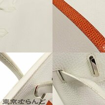 101717987 エルメス HERMES バーキン クラブ 30 □O刻印 ホワイト パールグレー サンギーヌ トリヨン リザード ハンドバッグ レディース_画像7