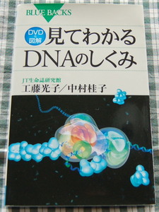 【送料無料】JT生命誌研究館, 工藤 光子, 中村 桂子【DVD&図解 見てわかるDNAのしくみ (ブルーバックス)】DVD付き中古美品