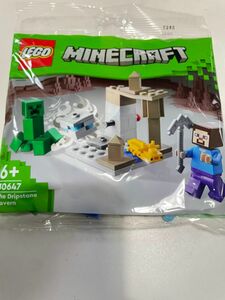 レゴ （LEGO) マインクラフト 鍾乳洞 ミニセット 30647 レゴマインクラフト Minecraft