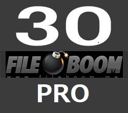 fileboom PRO30 день официальный premium купон 1 минут . отправка доброжелательность поддержка обязательно описание товара . прочитайте пожалуйста.