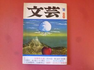 ｇ1-240319☆文芸　1969年8月号　安岡章太郎 森万紀子 中上健次 日野啓三 井上光晴