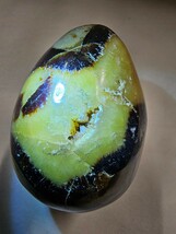 S-030 天然石　セプタリアンパームストーン　卵型　６.８×４.２cm　１３４.３g_画像8