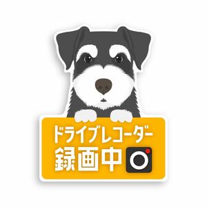 車内/車外の2wayで使えるマグネット式ドラレコカーサイン(シュナウザー)