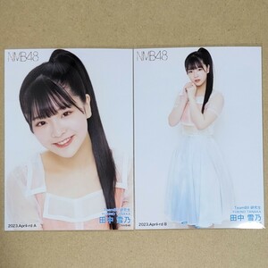 NMB48 田中雪乃 月別ランダム生写真 2023 April-rd 4月 2種 コンプ