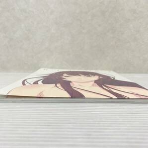 HITAGI アニメ 物語シリーズ ヒロイン本 其ノ伍 戦場ヶ原ひたぎ 中古品 sybetc073365の画像5