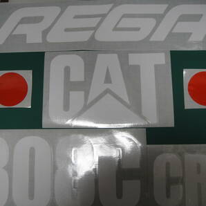 REGA FIGA 横160ｍｍ ステッカー エンブレム デカール ハイグレード耐候６年 40色 308C CAT CATERPILLARの画像7