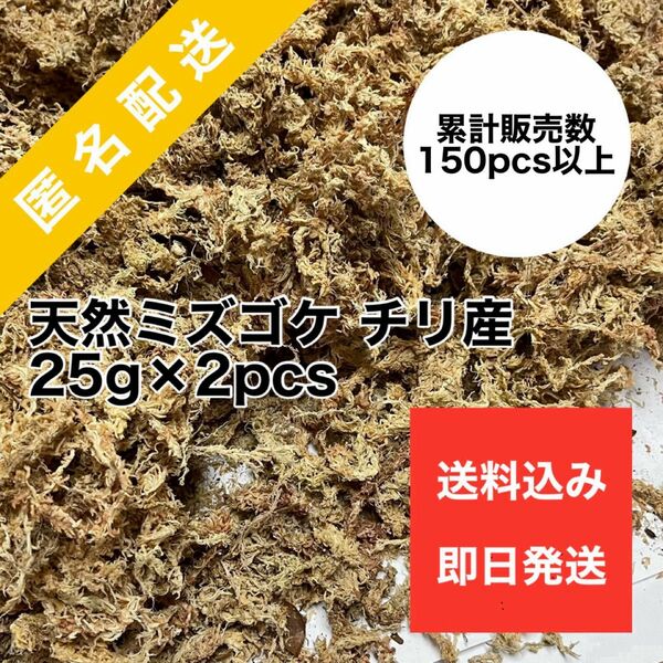 天然水苔 ミズゴケ 乾燥水苔 チリ産 25g×2pcs