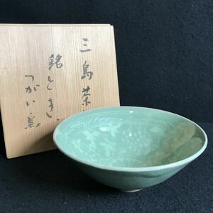 6P131 未使用 三島茶碗 銘 とき つがい鳥 共箱 陶器 陶磁器 青磁 茶器 食器 和食器 皿 1000-