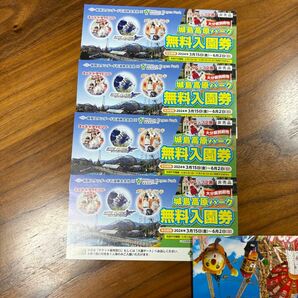 城島高原　無料入園券　４枚　