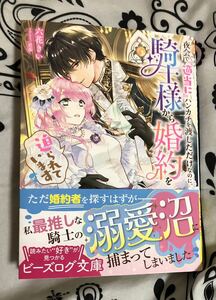 夜会で『適当に』ハンカチを渡しただけなのに、騎士様から婚約を迫られています （ビーズログ文庫　り－１－０１） 六花きい／著