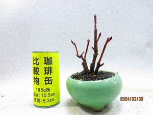 [讃岐屋緑兵衛]西洋カマツカ(3465草均釉丸鉢)全高：18㎝※同梱包は「まとめて取引」手続厳守※送料明記