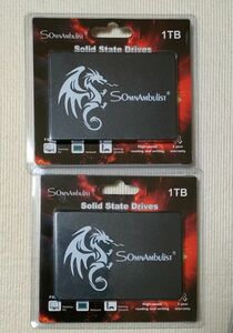 SomnAmbulist SSD 1TB 2.5インチ 2点セット