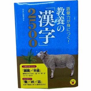 語彙力が身につく！教養の漢字2500