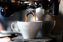 【出来立て】自家焙煎コーヒー豆　ブルマン 240g　ブルーマウンテン100%ストレート　人気No.1　_画像6